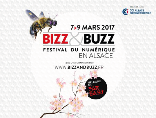 Bizz and Buzz 2017